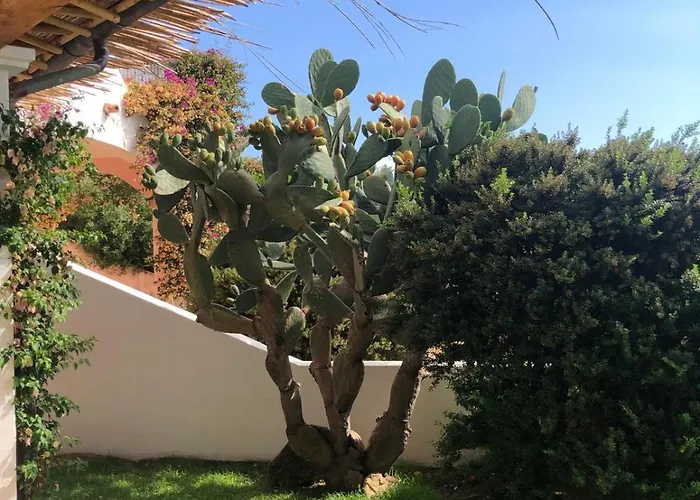 Casa de Férias Costa Smeralda With Sea View Portisco