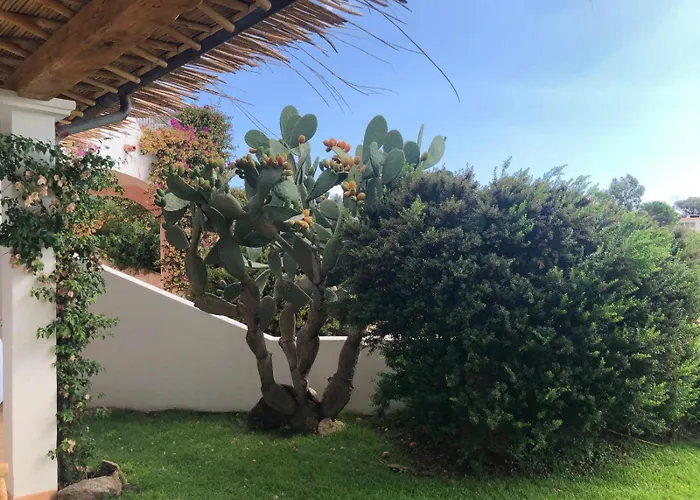 Costa Smeralda With Sea View Casa de Férias